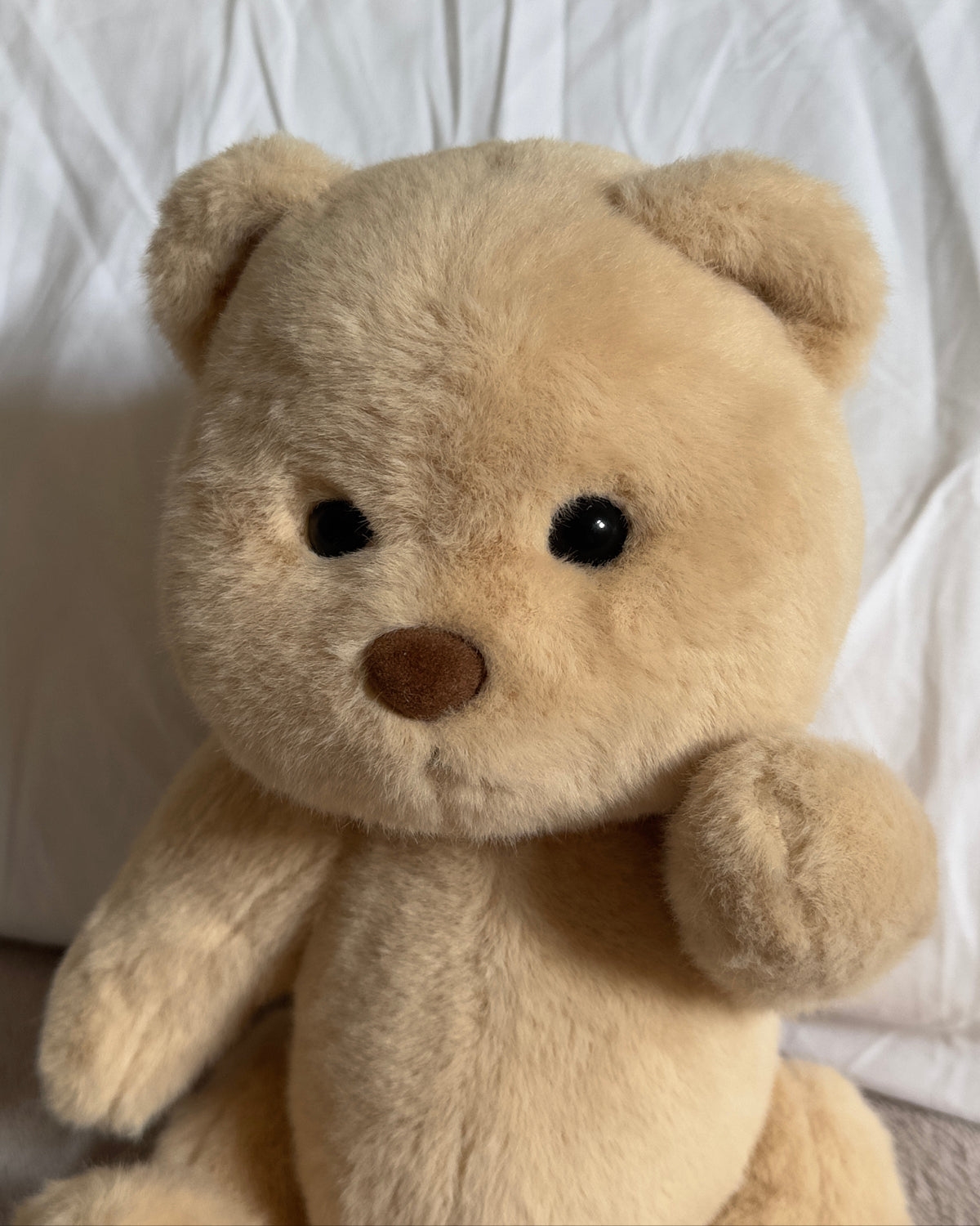 Bibu Bears – Sharky, the Brave Ocean Bear