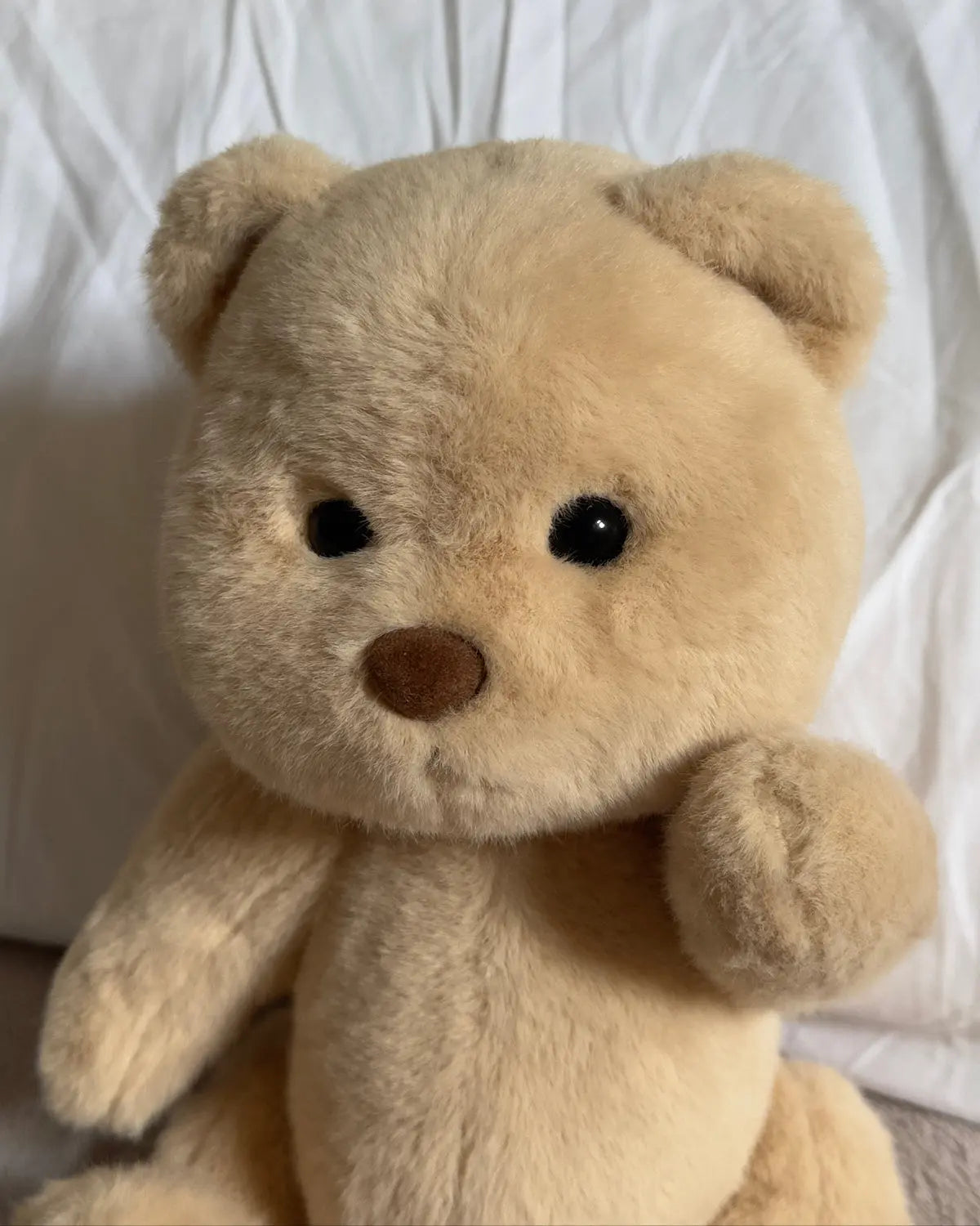 Sharky, the Brave Ocean Bear Bibubears