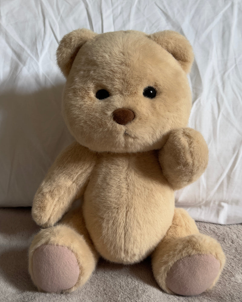 Rex, the Roaring Dino Bear