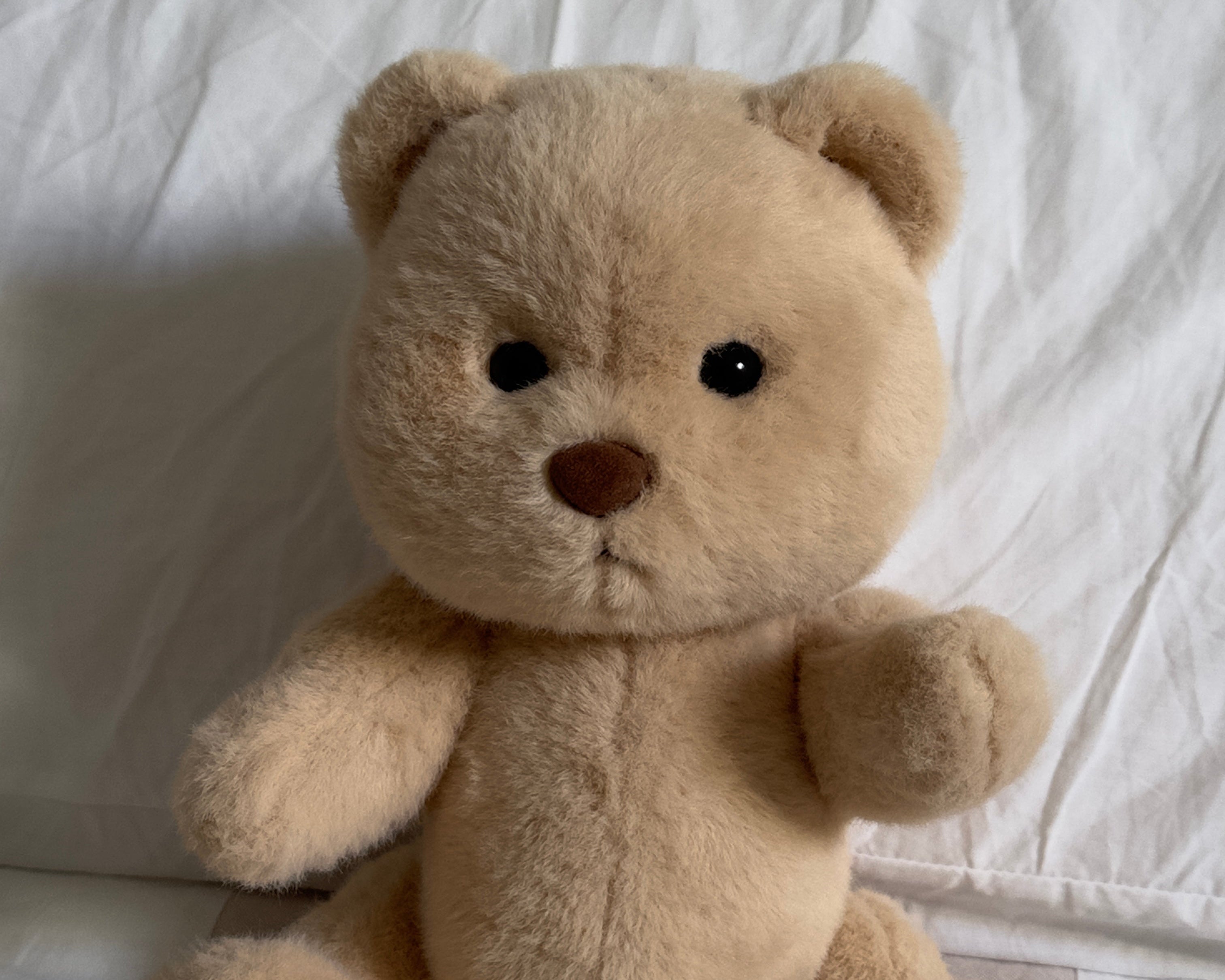 Mori Stuffed Animal Bear – Forest Plush Toy & Nature Gift for Kids